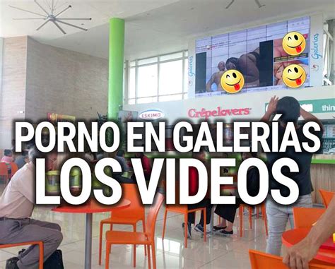 mejores pornos|mejores videos